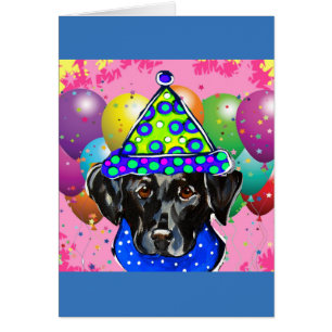 Black Labrador Retriever