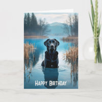 Black Labrador Retriever Birthday