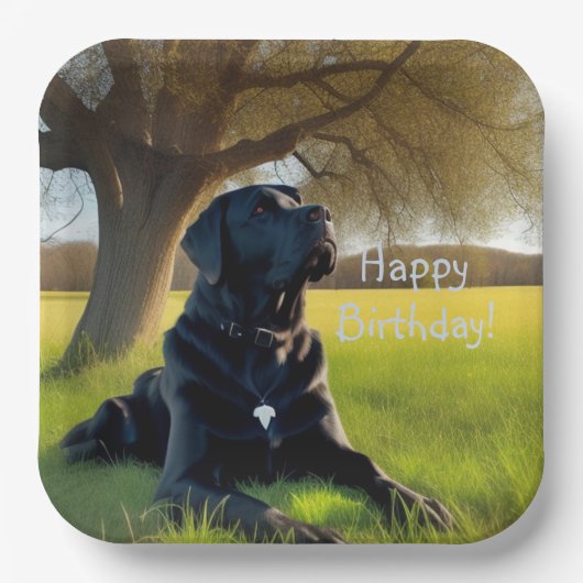 Black Labrador Retriever Birthday Papieren Bordje (Voorkant)