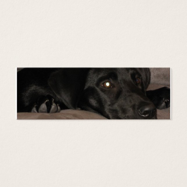 Black Labrador Retriever Bladwijzer Mini Visitekaartjes (Voorkant)