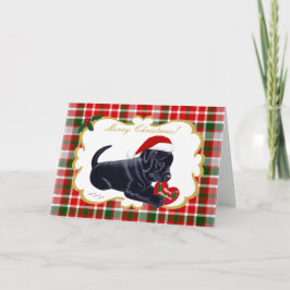 Black Labrador Retriever Christmas Tartan Feestdagen Kaart