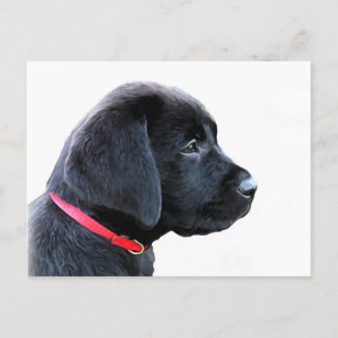 Black Labrador Retriever Cute Puppy - Black Lab Briefkaart