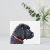 Black Labrador Retriever Cute Puppy - Black Lab Briefkaart (Staand voorkant)