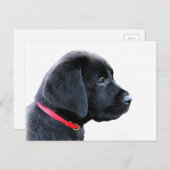 Black Labrador Retriever Cute Puppy - Black Lab Briefkaart (Voorkant / Achterkant)