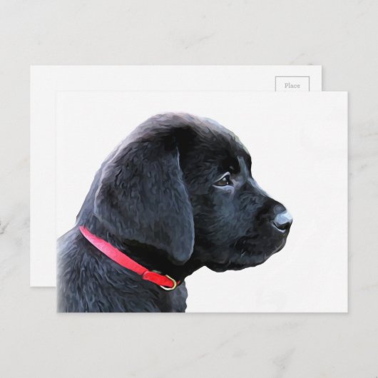 Black Labrador Retriever Cute Puppy - Black Lab Briefkaart (Voorkant / Achterkant)