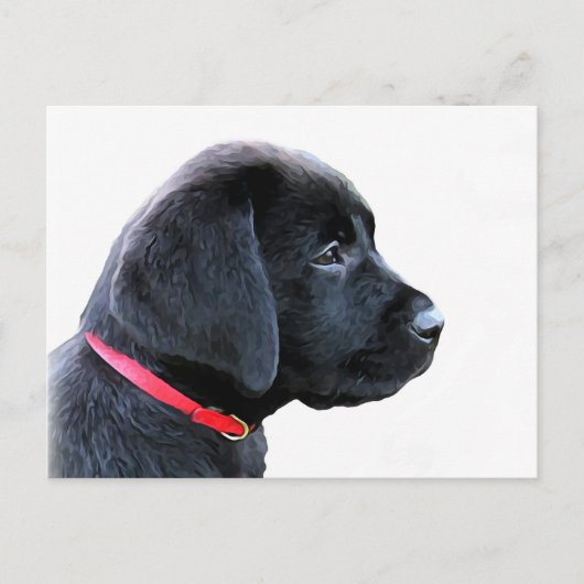 Black Labrador Retriever Cute Puppy - Black Lab Briefkaart (Voorkant)