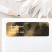 Black Labrador Retriever Dog Adres Etiket (Insitu)