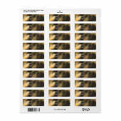 Black Labrador Retriever Dog Adres Etiket (Full Sheet)