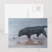 Black Labrador Retriever Dog Art Briefkaart (Voorkant / Achterkant)