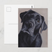 Black Labrador Retriever Dog Art Briefkaart (Voorkant / Achterkant)