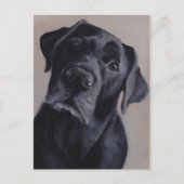 Black Labrador Retriever Dog Art Briefkaart (Voorkant)