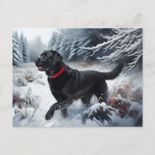 Black Labrador Retriever Dog in het Snow Briefkaar Briefkaart