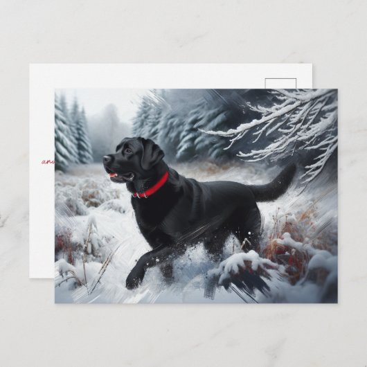 Black Labrador Retriever Dog in het Snow Briefkaar Briefkaart (Voorkant / Achterkant)