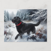 Black Labrador Retriever Dog in het Snow Briefkaar Briefkaart (Voorkant)