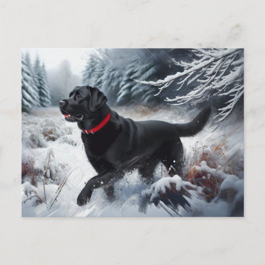 Black Labrador Retriever Dog in het Snow Briefkaar Briefkaart (Voorkant)