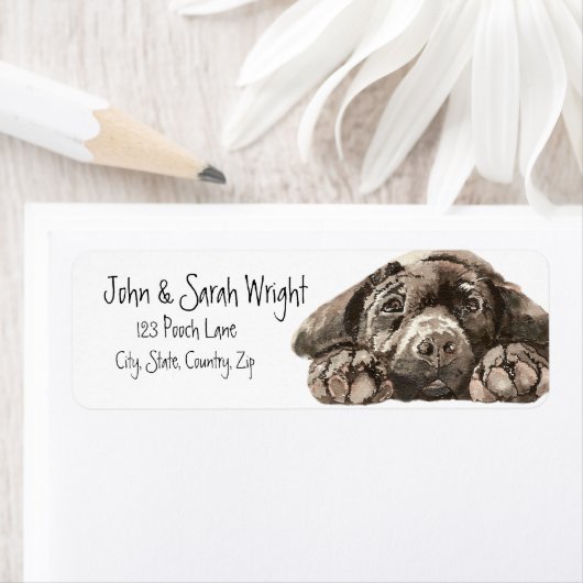 Black Labrador Retriever Dog Label (Insitu)