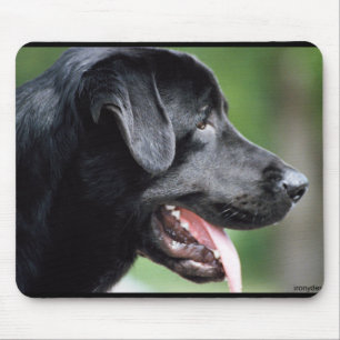 Black Labrador Retriever Dog Muismat