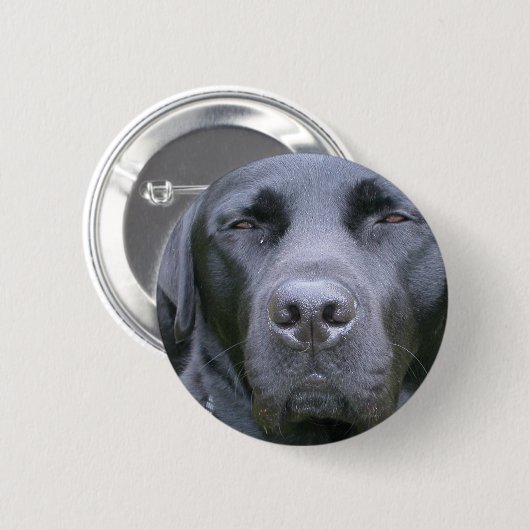 Black Labrador Retriever Dog Round Button (Voorkant /achterkant)