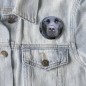 Black Labrador Retriever Dog Round Button (In situ)
