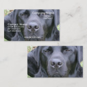 Black Labrador Retriever Dog Visitekaartje (Voorkant / Achterkant)