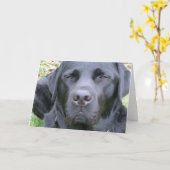 Black Labrador Retriever Dog Wenskaart Kaart (Gele Bloem)