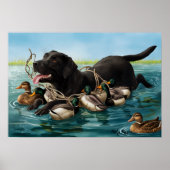 Black Labrador Retriever, Duck Hunters Poster (Voorkant)