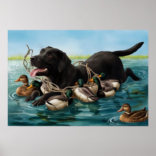 Black Labrador Retriever, Duck Hunters Poster (Voorkant)