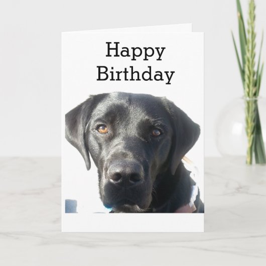 Black Labrador Retriever Happy Birthday Kaart (Voorkant)