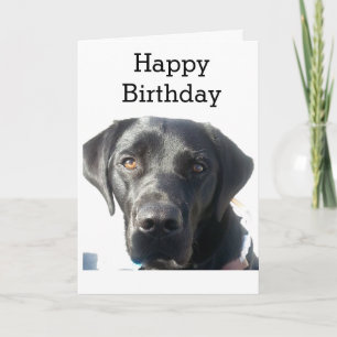 Black Labrador Retriever Happy Birthday Kaart