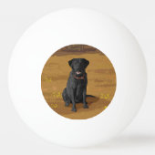 Black Labrador Retriever Hondenliefhebber Gift Pingpongbal (Voorkant)