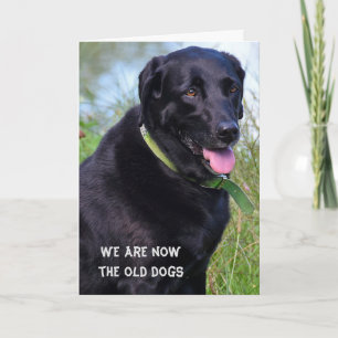 Black Labrador Retriever humor Kaart