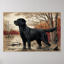 Black Labrador Retriever, Jagers Beste Vriend