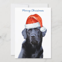 Black Labrador Retriever kerstkute Santa Dog