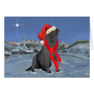 Black Labrador Retriever Kerstmis
