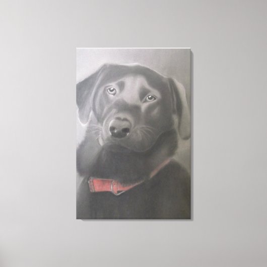 "Black Labrador Retriever" - Kooltekening Canvas Afdruk (Voorkant)