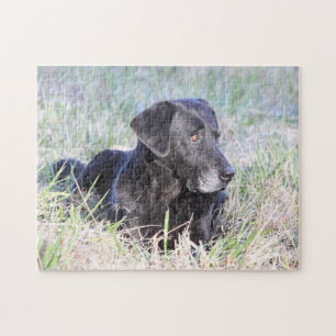 Black Labrador Retriever Legpuzzel