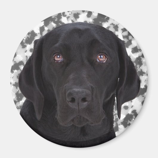 Black Labrador Retriever Magneet (Voorkant)