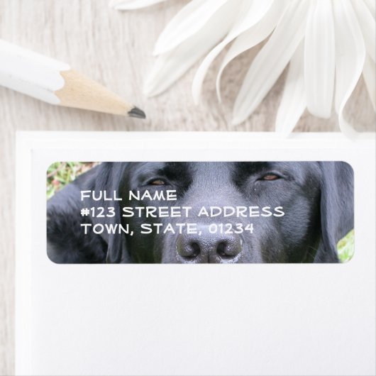 Black Labrador Retriever Mailing Label (Insitu)