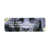 Black Labrador Retriever Mailing Label (Voorkant)