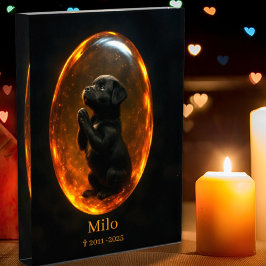 Black Labrador Retriever Memorial Photo Block Fotoblokken