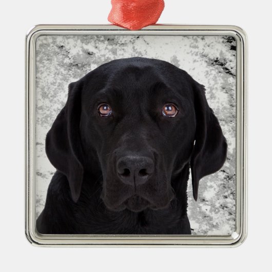 Black Labrador Retriever Metalen Ornament (Voorkant)