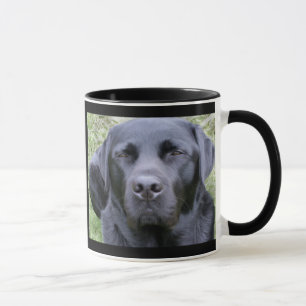 Black Labrador Retriever Mok