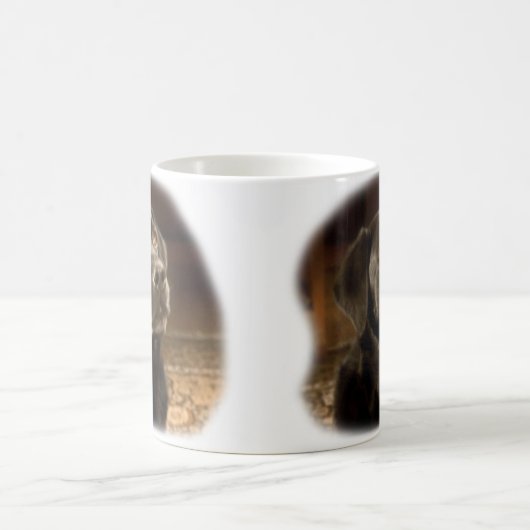 Black Labrador Retriever mok (Center)