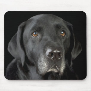Black Labrador Retriever Mousepad Muismat