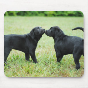 Black Labrador Retriever Muismat