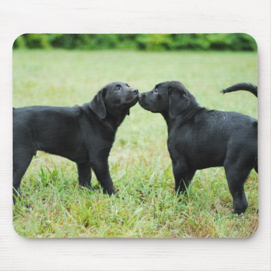 Black Labrador Retriever Muismat (Voorkant)
