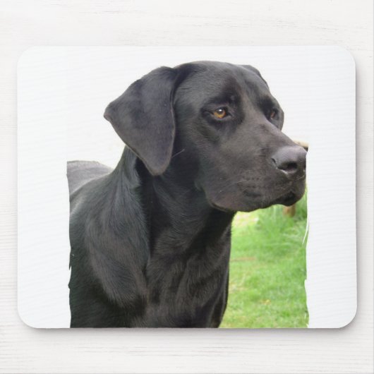 Black Labrador Retriever Muismat (Voorkant)