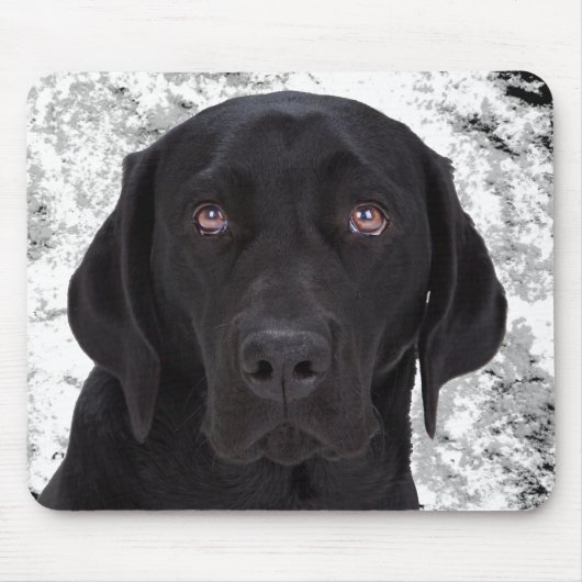 Black Labrador Retriever Muismat (Voorkant)