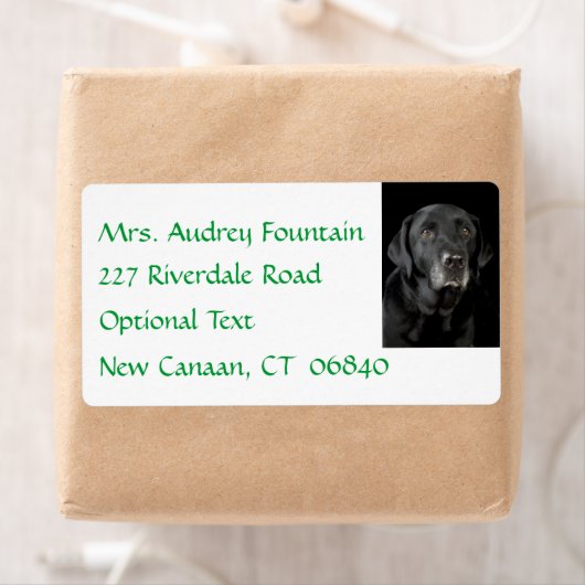 Black Labrador Retriever Naam Adres Label (Insitu)