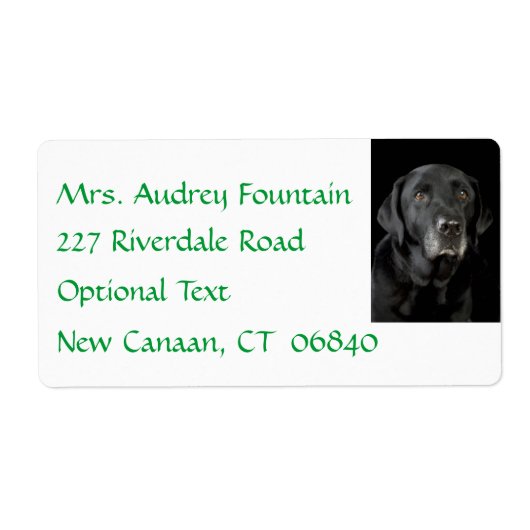 Black Labrador Retriever Naam Adres Label (Voorkant)